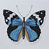 Jasba ATELIER Butterfly